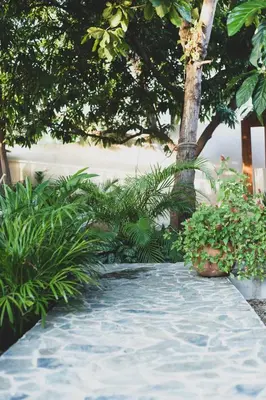 Jardín al aire libre en Cas Tejk
