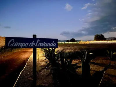 Certificado, premio, señal o documento que está expuesto en Glamping Rincón de Lavanda