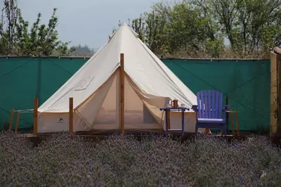 Plano de Glamping Rincón de Lavanda