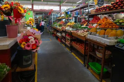 Supermercado u otro tipo de tienda en el apartamento o alrededores