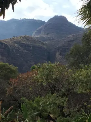 Plano de Finca Las Palmas