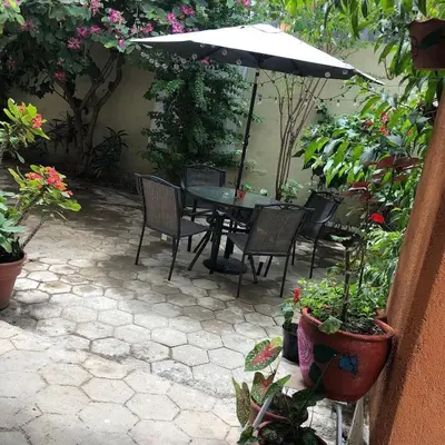 Jardín al aire libre en Hotel Entre Amigos Oaxaca Centro