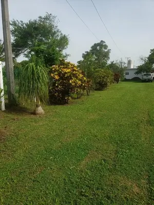 Jardín al aire libre en Villa Regina en Villas Camino Real cerca de las dunas de Chachalacas