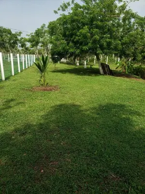Jardín al aire libre en Villa El Lago en Villas Camino Real cerca de las dunas de Chachalacas