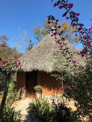 Jardín al aire libre en Flor de Arena
