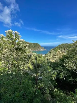 Paisaje cerca de este apartamento