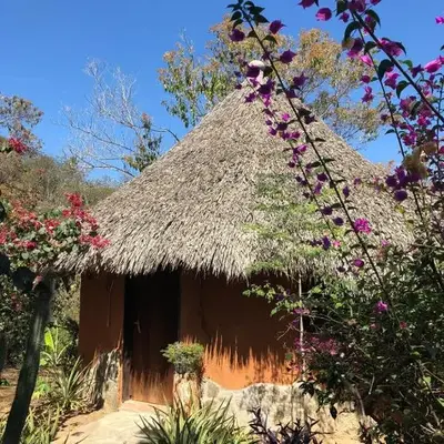 Flor de Arena