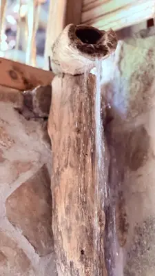 Plano de El Chiringuito, Mermejita