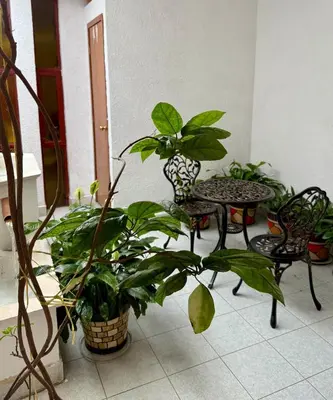 Jardín al aire libre en Casa Sierravista