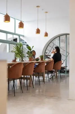 Clientes alojados en Outsite Oaxaca City - Work, Connect, Explore