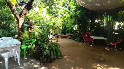 Jardín al aire libre en Jungle Palace hostel santaella