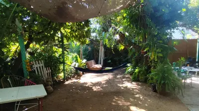 Jardín al aire libre en Jungle Palace hostel santaella