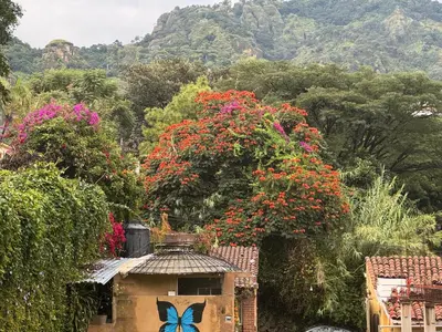 Paisaje cerca de este apartamento