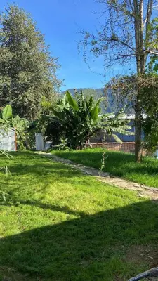 Jardín al aire libre en El rincón mazateco