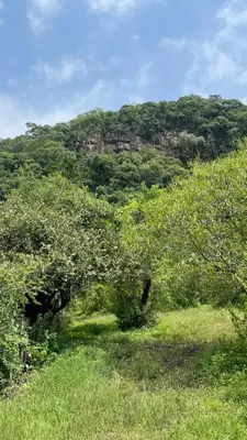 Paisaje cerca de este hotel