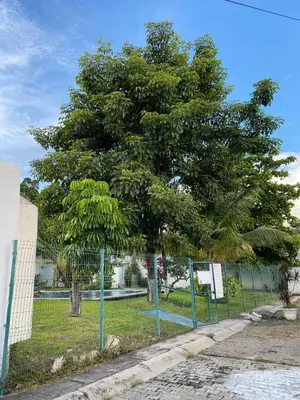 Plano de Casa-Patio Bugambilias