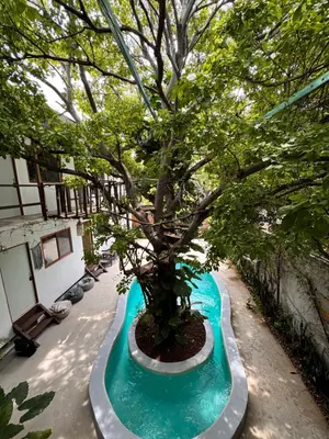 Jardín al aire libre en Nanabi