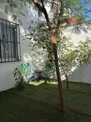 Jardín al aire libre en Comoda casa para alojamiento
