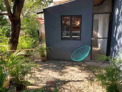 Jardín al aire libre en Luminoso exuberante y hermoso refugio