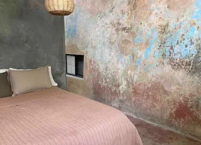 Cama o camas de una habitación en Luminoso exuberante y hermoso refugio