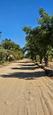 Paisaje cerca de esta villa