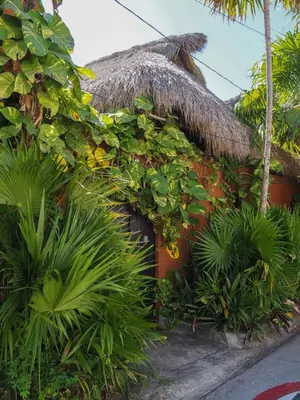 Jardín al aire libre en Unique Mexican Charm Cliffside Villa Casa Linda