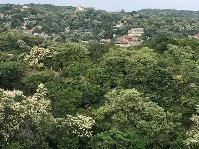 Paisaje cerca de este apartamento