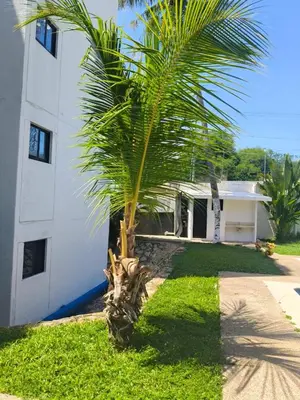 Jardín al aire libre en Departamento con ubicacion priviligiada cerca de la playa
