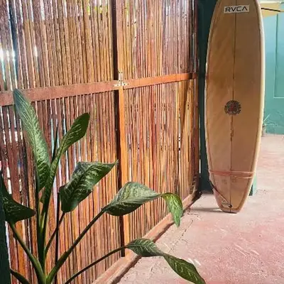 Olivo Hostel