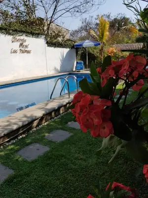 Piscina en o cerca de hotel quinta real las palmas malinalco