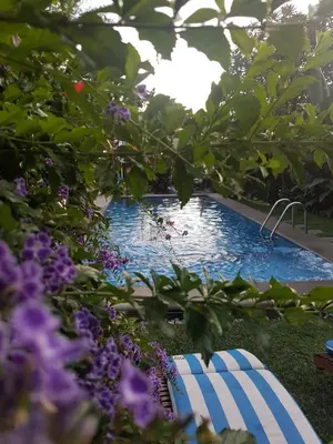 Piscina en o cerca de hotel quinta real las palmas malinalco