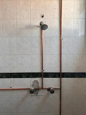 Un baño de Departamentos Apizaco Jardin de Toribio
