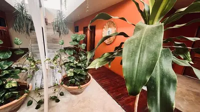 Jardín al aire libre en Luxury Ocean View Villa