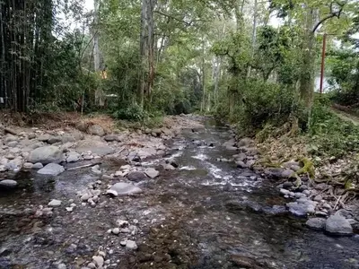 Paisaje cerca de este apartamento