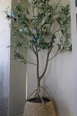 Plano de Hermosa habitación de campo