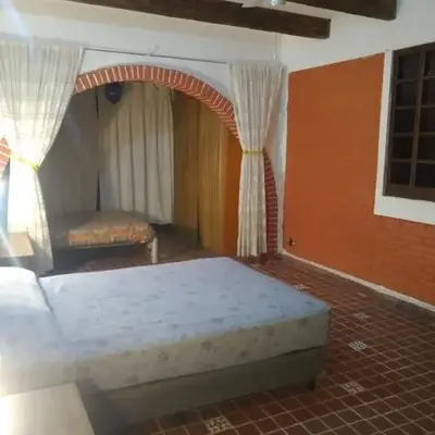 Alberca y jardín Palmeras