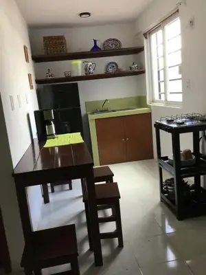 Una cocina o zona de cocina en Terraza Amecameca 2