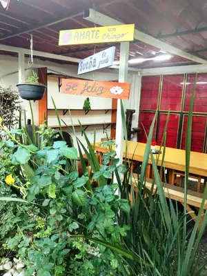 Plano de Casa Neza Jardín