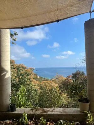 Plano de Casa Papayita