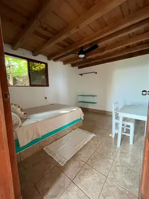 Plano de Casa Papayita