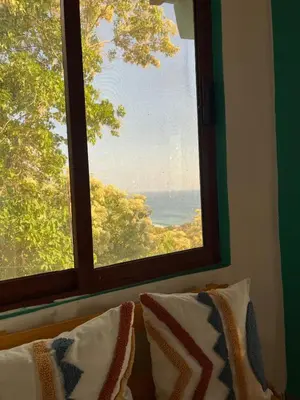 Plano de Casa Papayita