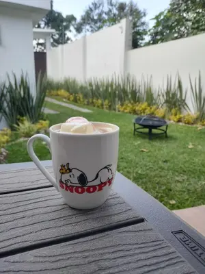 Jardín al aire libre en Villa Los Pinos