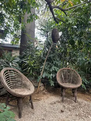Jardín al aire libre en El Bungalow de Juana