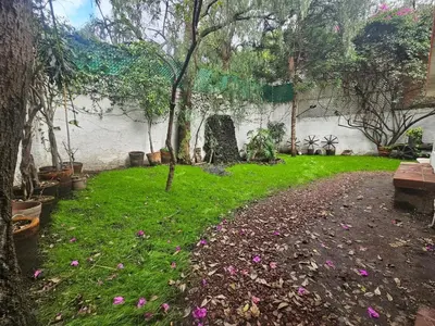 Jardín al aire libre en Casa Te Adoro Coyoacan