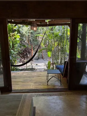 Jardín al aire libre en Green oasis across from the main street