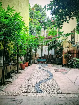 Jardín al aire libre en Hotel Coyoacan