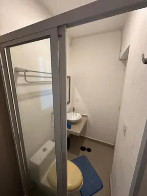 Un baño de Departamento Maradentro