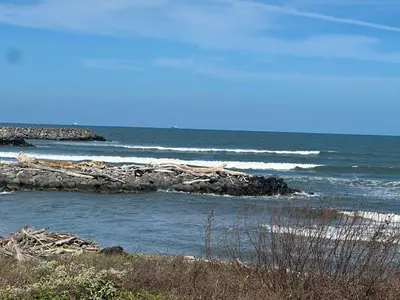 Paisaje cerca de este apartamento