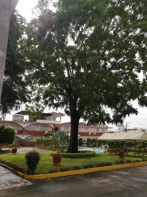 Jardín al aire libre en Hotel Los Cedros