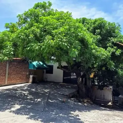 La Casa del Ciruelo!